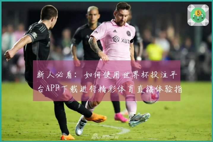 新人必看：如何使用世界杯投注平台APP下载进行精彩体育直播体验指南