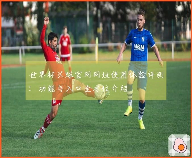 世界杯买球官网网址使用体验评测：功能与入口全方位介绍