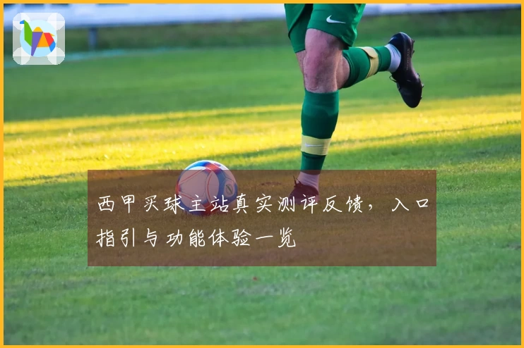 西甲买球主站真实测评反馈，入口指引与功能体验一览