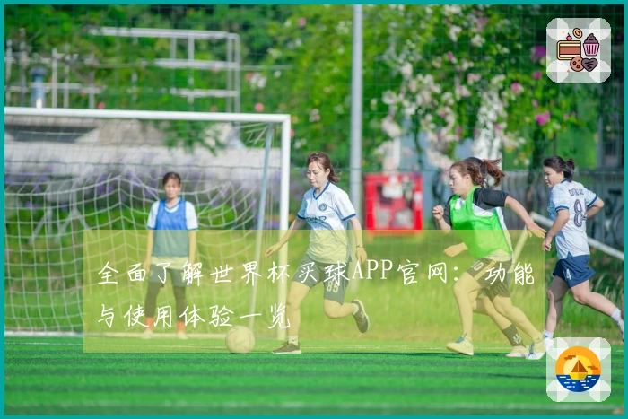 全面了解世界杯买球APP官网：功能与使用体验一览