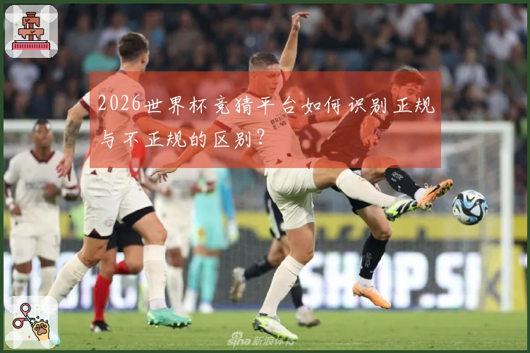 2026世界杯竞猜平台如何识别正规与不正规的区别?