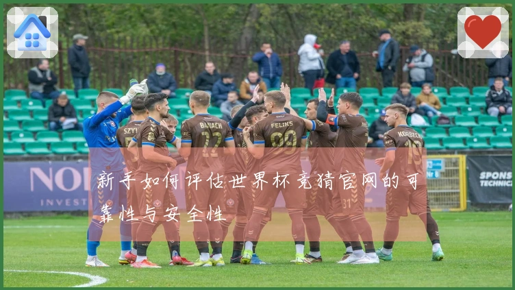 新手如何评估世界杯竞猜官网的可靠性与安全性