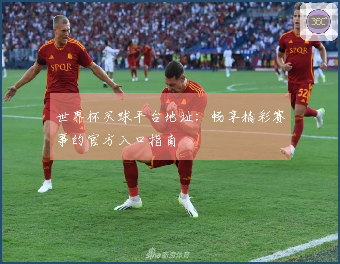 世界杯买球平台地址：畅享精彩赛事的官方入口指南