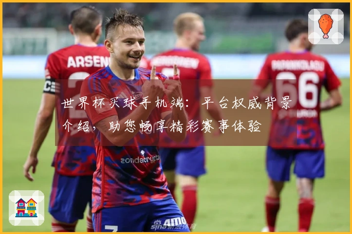 世界杯买球手机端：平台权威背景介绍，助您畅享精彩赛事体验